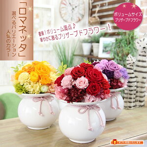 vU[uht[  }lb^ a  v[g Mtg a 蕨  j LO Əj wj ސEj j wj ސEj } ʉ 