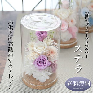 vU[uht[   Mtgy vU[uht[ AWg XezKXh[   ފ  {  ~     ~ 