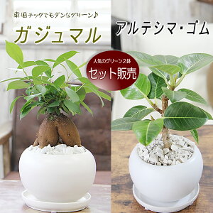 550~ȃZbg̔ KW} K炷삪Z K̎ S AeV} CgO[̗t ϗtA  Vzj zj JXj Jj JƏj 