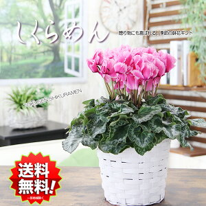 y\12~zΕ N  _ȔJo[t VN  A NX}X a LO җj ސEj } } ʉ 