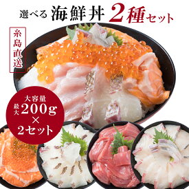 【SS限定 10%OFFクーポン】選べる 海鮮丼 2種セット 1杯120g～200g 最大400g 選べる海鮮 切り身 海鮮丼の素 丼の具 海鮮ギフトセット グルメ 海鮮どんぶり 海鮮丼セット 冷凍 お取り寄せグルメ 海鮮丼の具 どんぶりの具 真鯛 かんぱち サーモン いくら 本鮪 冷凍海鮮