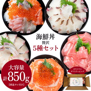 海鮮丼 贅沢 5種セット 大盛り 1杯120g〜200g 計850g 切り身 5人前 海鮮プレゼント 丼の具セット 食品ギフトセット 海鮮丼ギフト 冷凍海鮮丼 海の幸セット ギフト プレゼント おじいちゃん 食べ