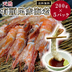 CV Gr LԊCV  ⓀGr ⓀCV VR ԃGr VRGr ̋ Grʔ CVʔ YGr LGr LCV Ε Ε NNn Ⓚ  CN ⓀCN Mt