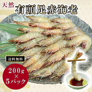 CV Gr LԊCV  ⓀGr ⓀCV VR ԃGr VRGr ̋ Grʔ CVʔ YGr LGr LCV Ε Ε NNn Ⓚ  CN ⓀCN Mt