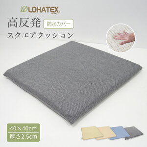 LOHATEX hXNGANbV 40×40cm 2.5cm ebNX  NbV LOHATEX Q zc