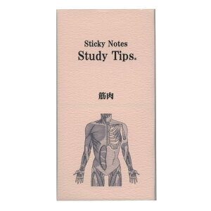 ���G�ʁXSticky Note Study Tips �ӂ���y�ؓ��z �t� FS-SST008