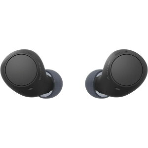 �\�j�[(SONY) ���S���C�����X�C���z�� WF-C500/WF-C510 :/�����x�ʘb�i��/IPX4�h�H���\