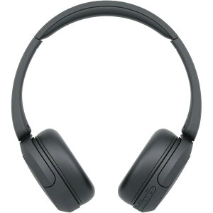 �\�j�[ ���C�����X�w�b�h�z�� WH-CH520:Bluetooth�Ή�/�y�ʐ݌v ��147g/��p�A�v���Ή��ɂ��D�݂̉����ɃJ�X�^�}�C�Y�ł���u�C�R���C�U�[�v�ݒ�Ή� WH-CH520 B �� & TP-Link Bluetooth USB Bluet