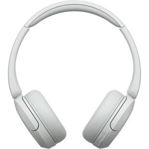 �\�j�[ ���C�����X�w�b�h�z�� WH-CH520:Bluetooth�Ή�/�y�ʐ݌v ��147g/��p�A�v���Ή��ɂ��D�݂̉����ɃJ�X�^�}�C�Y�ł���u�C�R���C�U�[�v�ݒ�Ή� WH-CH520 B �� & TP-Link Bluetooth USB Bluet