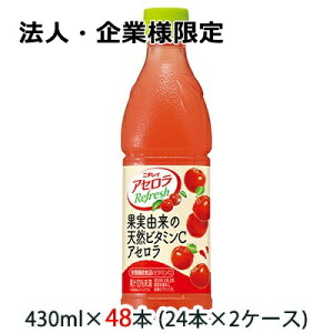 y|Cg3{ Ԍzy@lEƗl̔z[] Tg[ j`C AZ tbV 430ml ybg 48{ (24{×2P[X)  48141