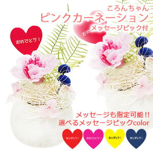 y|Cg3{ Ԍzyllw\z xJbv AW 񂿂 sN J[l[V bZ[W sbNt [ BC-004S ] AK uU[uht[  75734