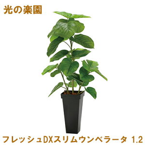 �y�|�C���g3�{ 5/9 20������z�y�l�l�w���\�z�����̊y�� (2326A300-46) �t���b�V��DX�X�����E���x���[�^ 1.2 �������� 95086