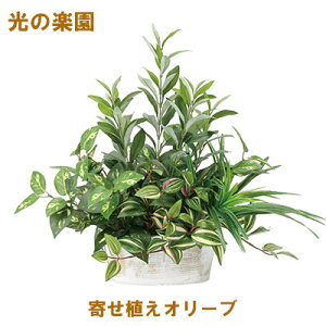 yllw\z̊y (2348A100-62) 񂹐AI[u  95109