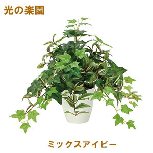 yV X[p[SALE 10%OFF yllw\z̊y (2351A85-66) ~bNXACr[  95113