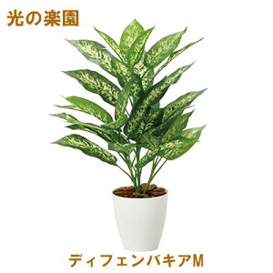 yV X[p[SALE 10%OFF yllw\z̊y (2352A65-67) fBtFoLAM  95114