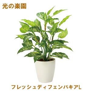 yV X[p[SALE 10%OFF yllw\z̊y (2353A85-67) tbVfBtFoLAL  95115