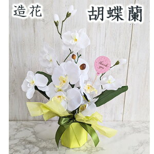 �y�l�l�w���\�z�� �Ӓ��� �G�}���H (txv-1) ���� �l�H �ϗt�A�� �t�F�C�N�O���[�� �������� 94264