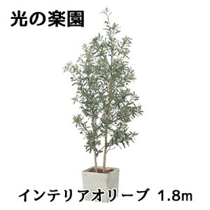 yllw\z ̊y (2510A580) CeA I[u 1.8m  lH ϗtA tFCNO[G}  94299