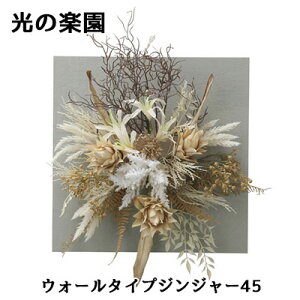 yllw\z ̊y (2559A200) EH[ ^Cv WW[ 45  lH ϗtA tFCNO[G}  94309