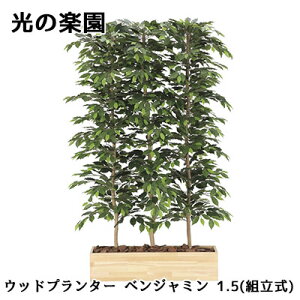 yllw\z ̊y (2609A1000) Ebhv^[ xW~ 1.5(g)  lH ϗtA tFCNO[G}  94312