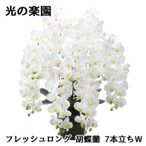 yllw\z ̊y (2578A500) tbVO Ӓ 7{W  lH ϗtA tFCNO[G}  94317