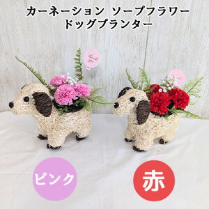 yllw\z J[l[V \[v t[ hbO v^[ (oxp-1)  lH ϗtA tFCNO[  94325