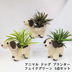 y|Cg3{ Ԍzyllw\z Aj} hbO v^[ tFCNO[ 3_Zbg (jk-3)  lH ϗtA tFCNO[  94335