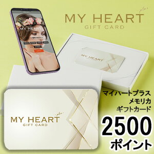 y|Cg5{ Ԍzyllw\zJ^OMtg }Cn[gvX CN J 2500|Cg (PM2500) MemoriCA JJ[h  36383