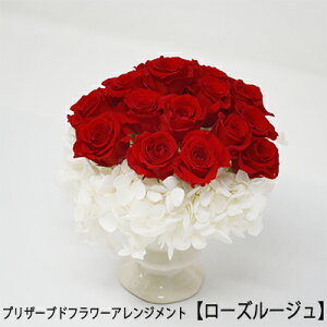 yllw\zvU[uht[AWgy[Y[Wz [MF-13] AK ̓  75628