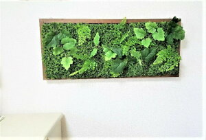 yllw\z lHϗtA O[pl 88cm×38cm G}Hi [ sk-005 ]  98124