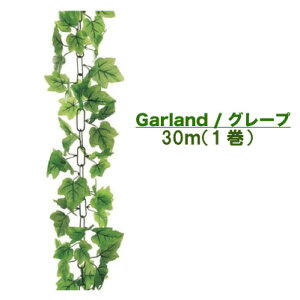 �y�|�C���g3�{ 2/4 20���`�z�y�l�l�w���\�z���ǖʗΉ� �y���ԁz �K�[�����h �O���[�v 1�� 30m [Gla-1184ab] �������� 94113