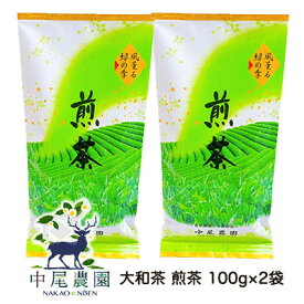 【個人様購入可能】 【郵送】 中尾農園 奈良県田原産 大和茶 煎茶 100g ×2袋 送料無料 79616