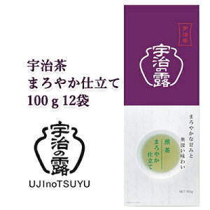 y5%OFF Ԍzyllw\z [] F̘I F ܂₩d 100g ×12(1P[X)  78035