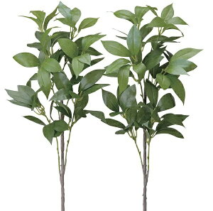 yV X[p[SALE 10%OFF yllw\z   VL~2{Zbg [ 100e30-97 ]  98114