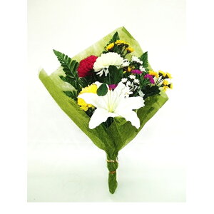 y3%OFF Ԍzyllw\z yWP-303z  WP-303 d ԑ  93516
