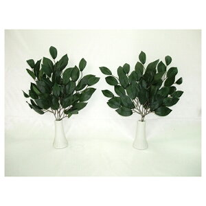 yllw\z yWP-101z  WP101 Zbg  93517