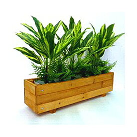 【個人様購入可能】●【オフィスグリーンプランタ】 造花 人工観葉植物 インテリアグリーン 送料無料 91628