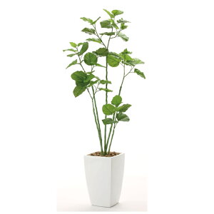 �y�|�C���g3�{ 2/4 20���`�z�y�l�l�w���\�z�����̊y�� (943K700-23) �A�[�o���u�����`�E���x���[�^ 1.8 �������� 93684