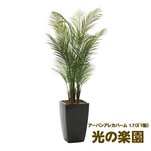 �y�|�C���g3�{ 2/4 20���`�z�y�l�l�w���\�z�����̊y�� (945K700-24) �A�[�o���A���J�p�[�� 1.7 �������� 93687