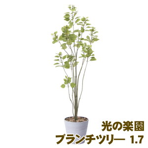 yllw\z̊y (2396A250-45) tBJXu`c? 1.7  93882