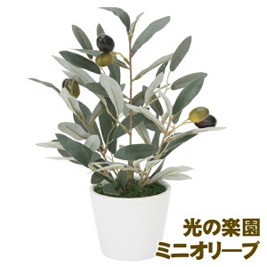 �y�|�C���g3�{ 6/4 20������z�y�l�l�w���\�z�����̊y�� (835K40-65) �~�j�I��?�u �������� 93911