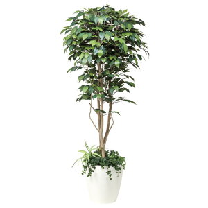 yllw\z̊y (508F500-37) tBJXxW~A͕t 1.8  92349