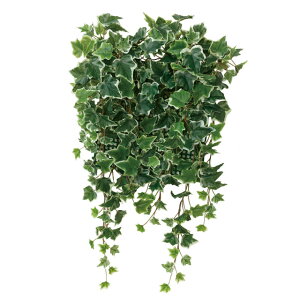 yV X[p[SALE 10%OFF yllw\z̊y (441C70-70) ǖʗΉ ACr[  92295