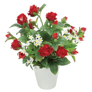 yllw\z̊y (553K25-98) X^[bh  92784