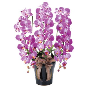 yllw\z̊y (311A200-76) CӒL  92635