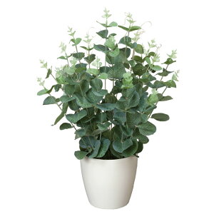 yllw\z̊y (385A50-61) [J  92512