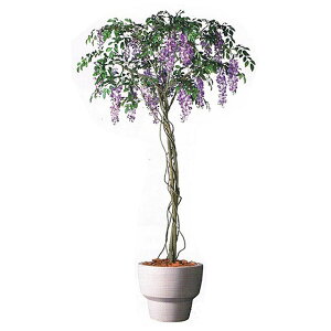 yV X[p[SALE 10%OFF yllw\z y98916z lHϗtA  2m  92879