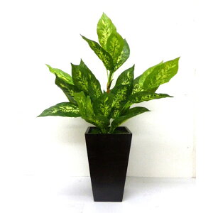 yV X[p[SALE 10%OFF yllw\z yGP|301z |gXO[ UDDG}H  92935