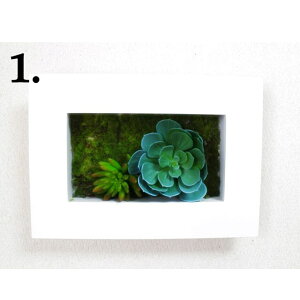 yV X[p[SALE 10%OFF yllw\z yff-0011z {^jJyt[ 1z  92943