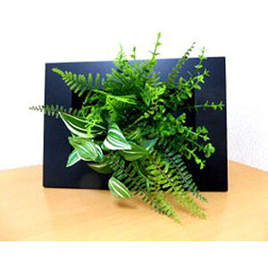 yllw\z yms-002z {^jJij  92950